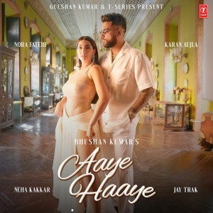 Sanam Re Cover